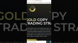 Fx Master Gold Scam or Legit Review
