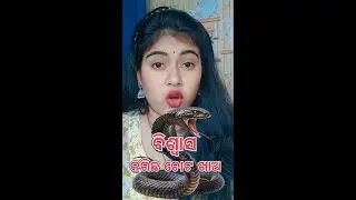 Uବିଶ୍ୱାସ ରେ ବିଷ /Odia Story/Story Telling/Moral Story/YouTube Shorts/Short Story/Cartoon Story