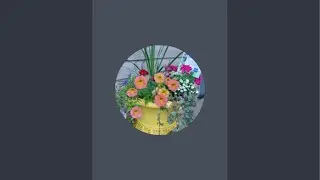 Zone 3 indoor garden Jan Update