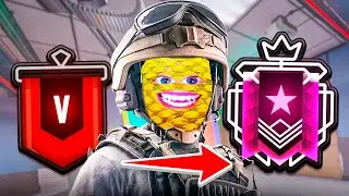 Sir Pineapple Copper To Champion in 5 HOURS (New Season)