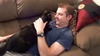 Cat Really Loves His Dad!