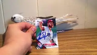 TTM Recap 81 Finally A Return!