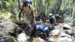 Bharath Samrat Kili Umbwe route v2