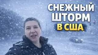 Влог из США 🇺🇸 Снежная буря, подала на грант… вдруг откажут?