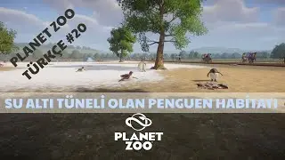 SU ALTI İZLEME TÜNELİ OLAN PENGUEN HABİTATI  |  PLANET ZOO TÜRKÇE #20