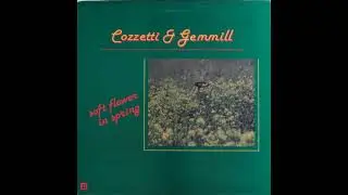 Cozzetti & Gemmill - Soft Flower In Spring (Full Album) [Jazz / Synth / Easy Listening][1984]