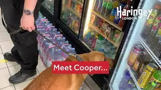 В ходе Недели торговых стандартов в Лондоне были приняты меры по борьбе с незаконной продажей табачных изделий