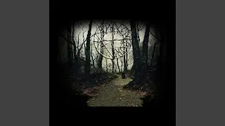 When the Shadows Call Me