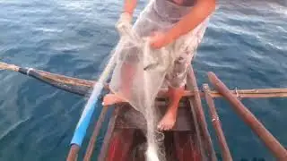(school of fish)maraming huli unang bantasan palang ng lambat Pupog matambaka😱#PALAWAN #Yt#fishing