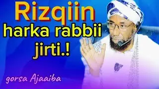Sheikh Amiin Ibroo/Rizqiin ilma Namaa hundi harka rabbii jirti..