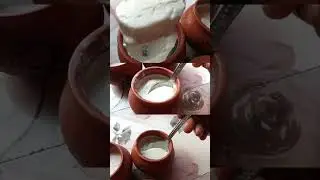 Thick & Creamy Curd &ndash; No Fail Recipe! 🧡 #homemade #curd #healthyfood