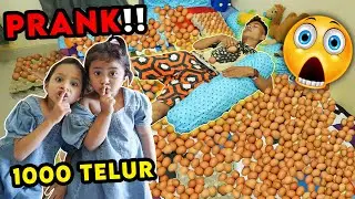 PRANK PEMBALASAN 1000 TELUR UNTUK PAPI‼️🤣 wkwkwkwk