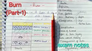 Burn 🔥(PART-1) exam notes (Definition ,Epidemiology, risk factors,  skin anatomy, Etiology) #burn 