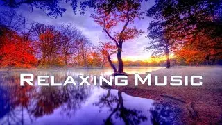 Night Relaxing Music - Positive Feelings and Energy #The beauty of calm#Nightrelaxingmusic