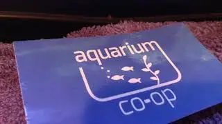 Aquarium medication