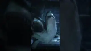 3 Headed shark attack #action #sharks #shorts