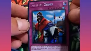 @Duelist exdnr : AMAZING pulls out of VINTAGE packs ( Nostalgia Overload )