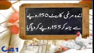 Chicken prices once again hike