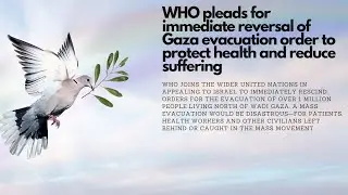 WHO pleads for immediate reversal of Gaza evacuation order to protect health and reduce suffering