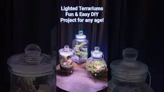 DIY Terrarium Night Light