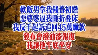 軟飯男拿我錢養初戀，惡婆婆逼我睡折疊床？我反手起訴追回45萬贓物款！發布會潑油漆報復？我讓他牢底坐穿！#婆媳 #家庭 #生活故事 #故事 #為人處世 #情感故事 #婚姻 #故事匯