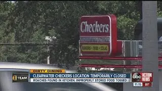 Dirty Dining: Checkers Drive-In