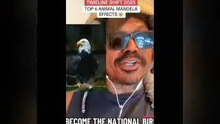 Top Six Animal Mandela Effects 👀This one will be a classic 