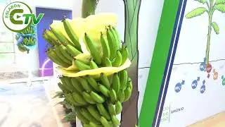 Ecuador, tierra f&eacute;rtil y biodiversa, conquista los mercados de Europa con sus productos org&aacute;nicos.