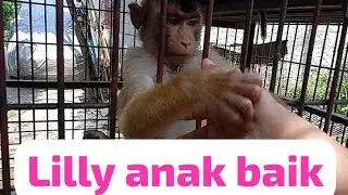 LILLY SEKARANG JADI ANAK BAIK, TIDAK NAKAL LAGI DAN KALEM