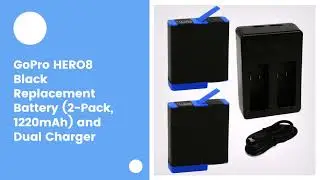 GoPro HERO8 Black Replacement Battery (2-Pack, 1220mAh) and Dual Charger