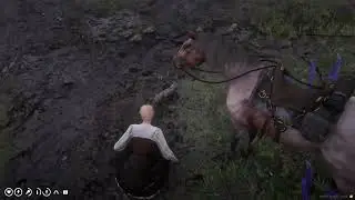 reminiscing on paradise!  ✨ Ranch RP || Red Dead Redemption 2
