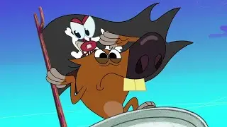 Zig & Sharko | The Pirate Crew | BEST CARTOON COLLECTION | New Episodes in HD