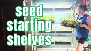 🌱 Полки для посева семян, уборка рассадных горшков и сбор срезанных цветов || Летнее садоводство