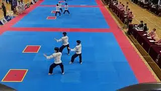 Taebeak poomsae 태백 품새