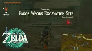 Pagos Woods Excavation Site (Legend of Zelda: Tears of The Kingdom)