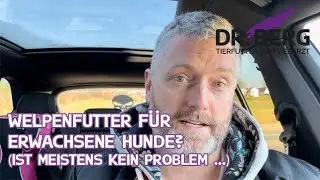 Welpenfutter f&uuml;r erwachsene Hunde? (Ist meistens kein Problem...) | Tierarzt Dr. Gregor Berg