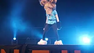 AC2018 DC Zapperr