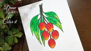 how to draw litchi | litchi drawing step by step | draw litchi | লিচু আঁকা | litchi drawing easy
