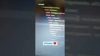 Programming Is Fun/Flutter❤