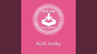 Acid Junky