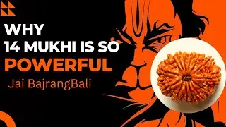 14 mukhi rudraksha benefits | 14 mukhi rudraksha dharan karne ki vidhi