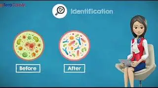 IteraCare Terahertz Wand  short animated explanation. NOW AVAILABLE IN THE US