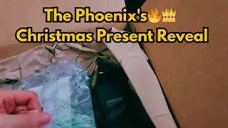 The Phoenix&rsquo;s Christmas Present 🎁 + Special Guest Karma Cat 😻🎄