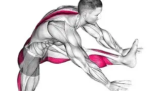Simple Morning Exercise for Pelvic & Core Strength