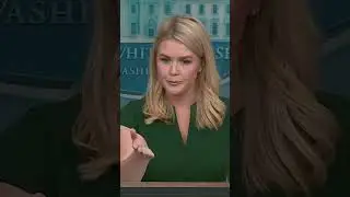 Unraveling the Truth Behind Deportation Operations!