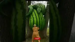 Rescue zebras from giant python #ai #funny #animals #viral #shortvideo #trending #video #shorts