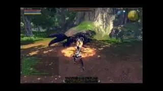 RaiderZ - Sorcerer Vs Epic Fleetfoot