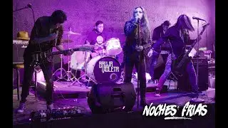 Bruja Violeta - Noches Frías (Lyric Video)