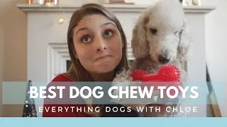 BEST DOG CHEW TOYS - SHOWING YOU FOUR TOYS