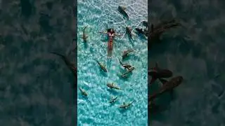 Swimming with sharks!🦈✅ Book it on Upisle.com! #boat #foryou #sharks #bahamas #vacation #shorts #fy